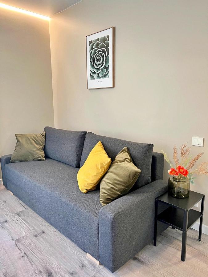 קובנה Clinic Studio Apartments By Hostlovers מראה חיצוני תמונה